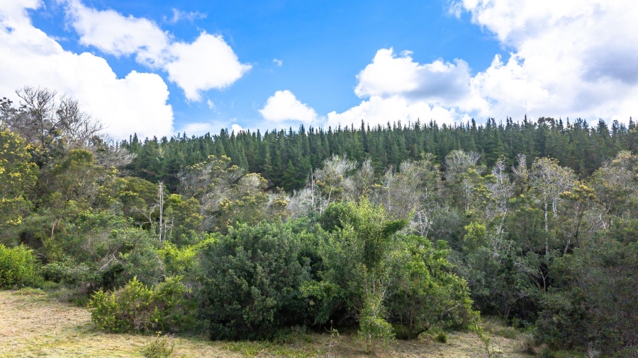 Commercial Property for Sale in Sedgefield Rural Western Cape